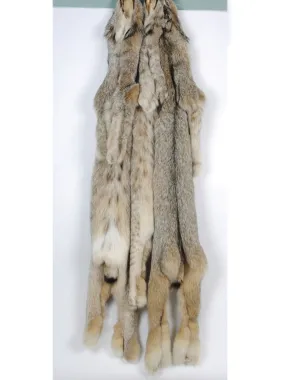 Canada Dressed Lynx 2XL