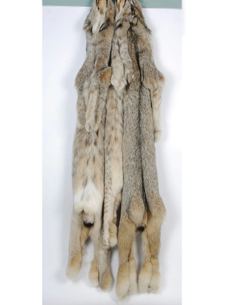 Canada Dressed Lynx 2XL