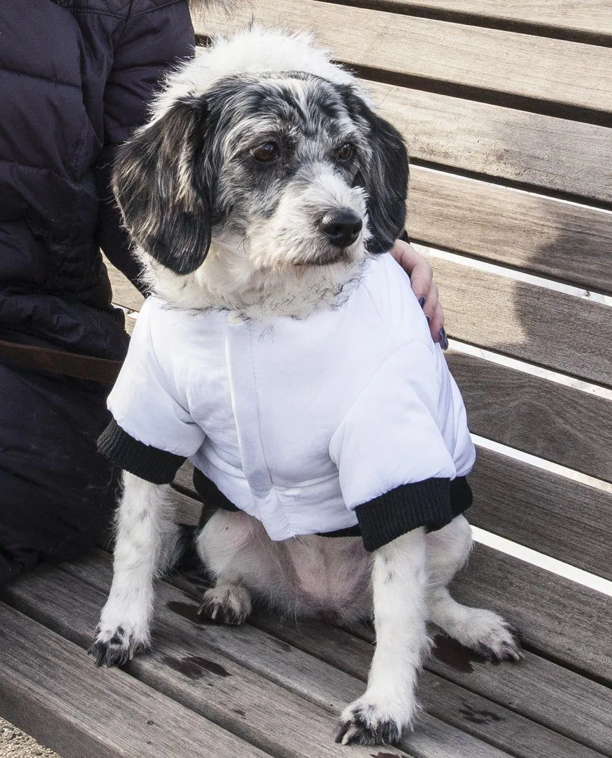 Pet Life ® Aspen Winter-White 3M Insulated Fashion Pet Parka Dog Coat